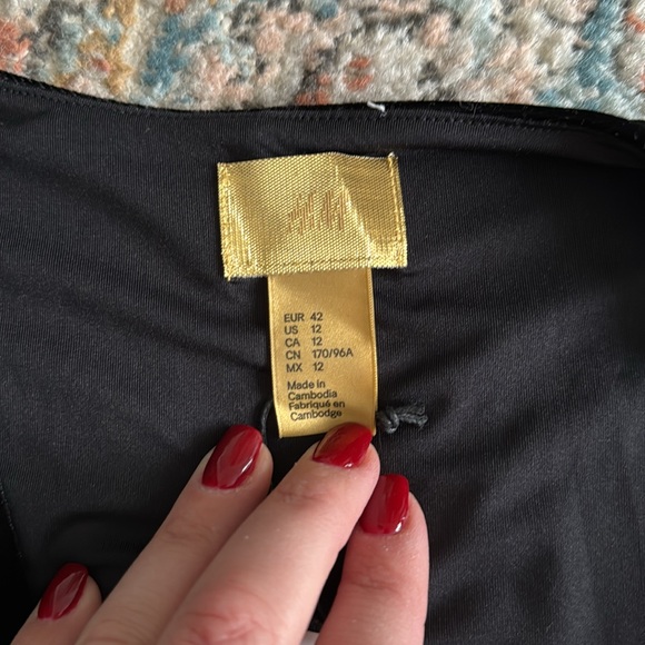 NEW- H&M Gold Label Velvet Dress - Picture 4 of 11